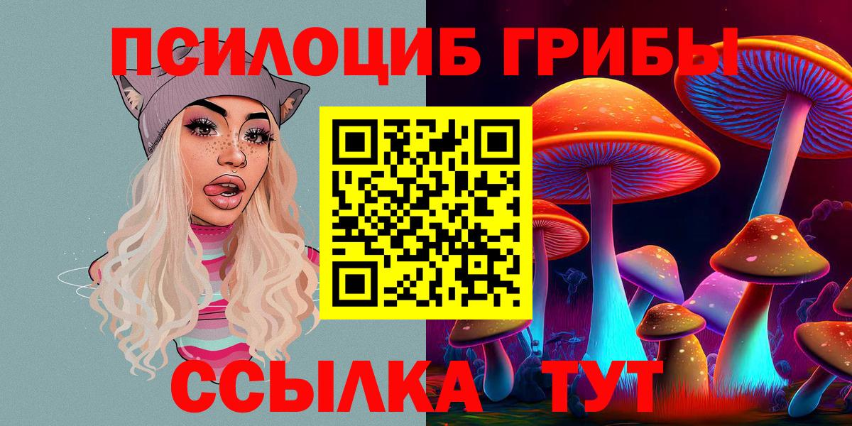 Тверь  Псилоцибиновые грибы Psilocybine cubensis  Псилоцибиновые грибы Cubensis  Вход с VPN 